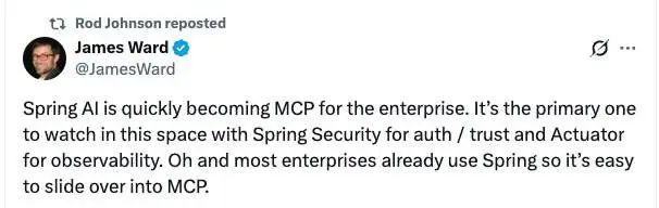 弃 Python 拥抱 JVM,Spring 之父 20 年后再造“革命性框架”:我从未如此确信一个新项目的必要性